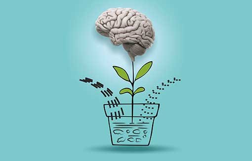 Neurosurgery